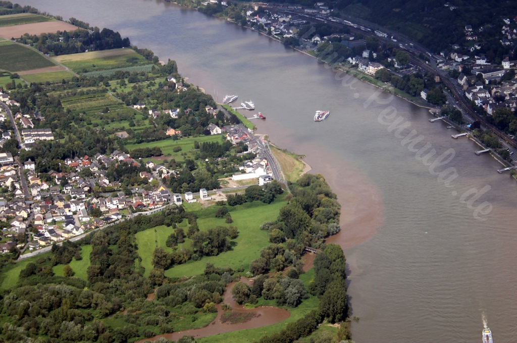 Ein Stück vom Alt-Rhein (vorne links)